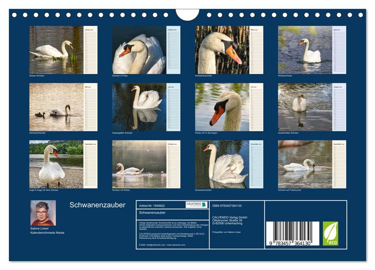 Produktbild: Schwanenzauber (Wandkalender 2026 DIN A4 quer), CALVENDO Monatskalender