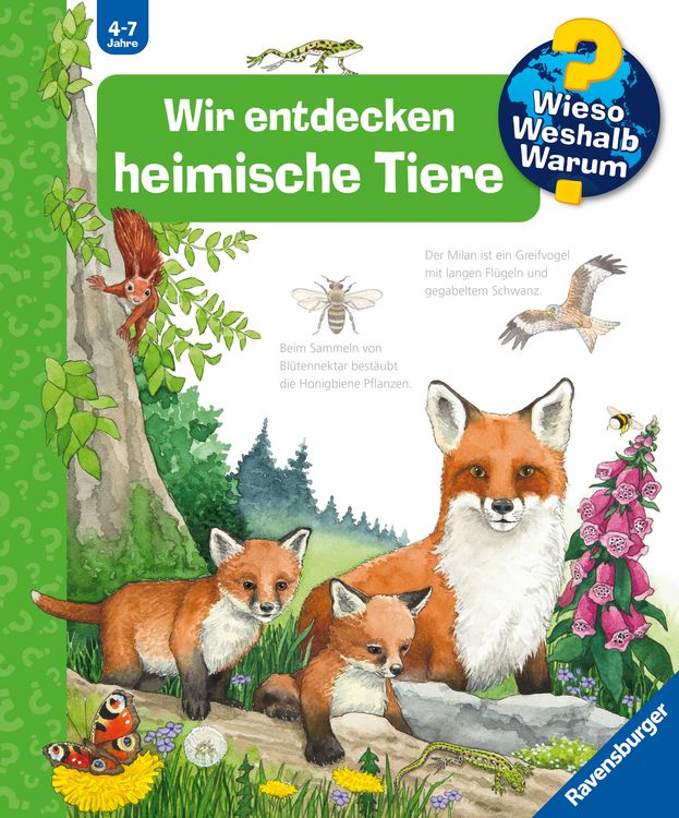 Produktbild: Wieso? Weshalb? Warum? Kernreihe, Band 71 - Wir entdecken heimische Tiere