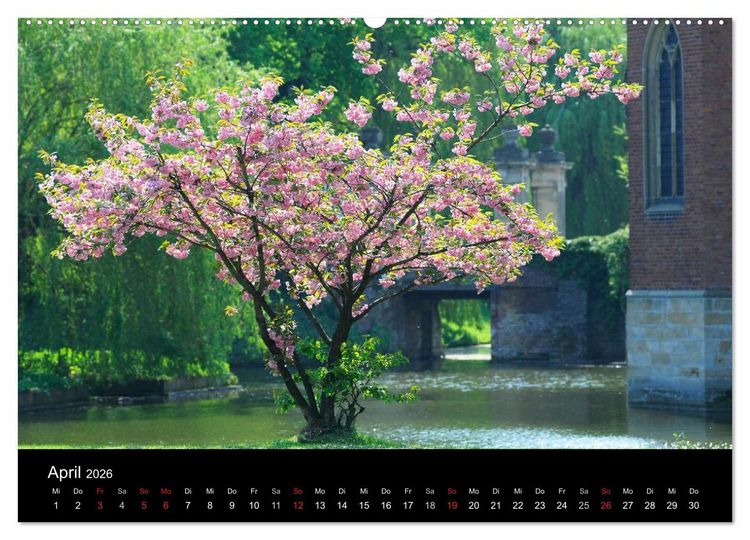 Produktbild: Jahreszeiten / 2026 (Wandkalender 2026 DIN A2 quer), CALVENDO Monatskalender