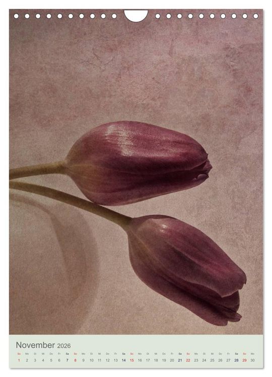 Produktbild: Flora (Wandkalender 2026 DIN A4 hoch), CALVENDO Monatskalender