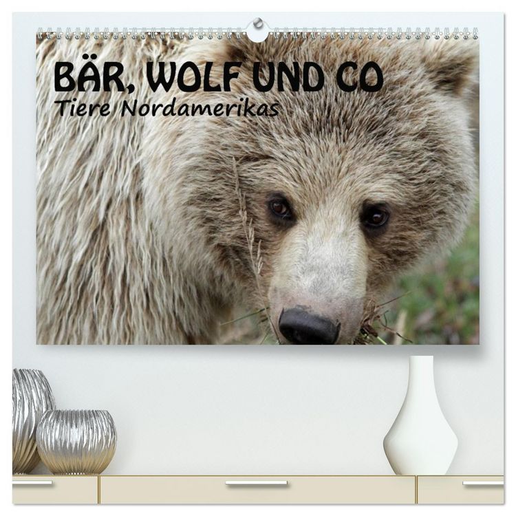 Produktbild: B&auml;r, Wolf und Co - Tiere Nordamerikas (hochwertiger Premium Wandkalender 2026 DIN A2 quer), Kunstdruck in Hochglanz