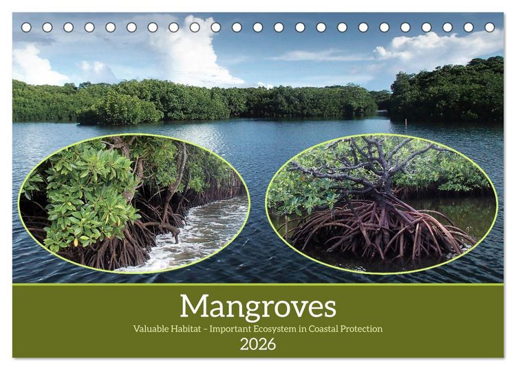 Produktbild: Mangroves - Valuable Habitat (Desk Calendar 2026 DIN A5 landscape), CALVENDO 12 Month DeskCalendar