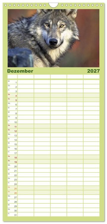 Produktbild: Familienplaner 2027 - W&ouml;lfe. Verwegene Anmut mit 5 Spalten (Wandkalender, 21 x 45 cm) CALVENDO