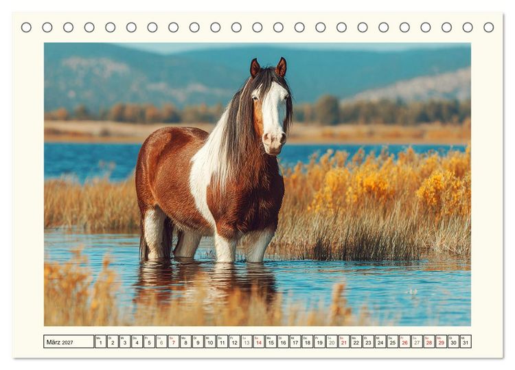 Produktbild: Irish Tinker Liebe. Der robuste Charme der Gypsy Cobs (Tischkalender 2027 DIN A5 quer), CALVENDO Monatskalender