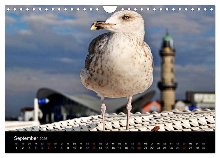 Produktbild: Warnem&uuml;nde - Maritime Landschaften (Wandkalender 2026 DIN A4 quer), CALVENDO Monatskalender
