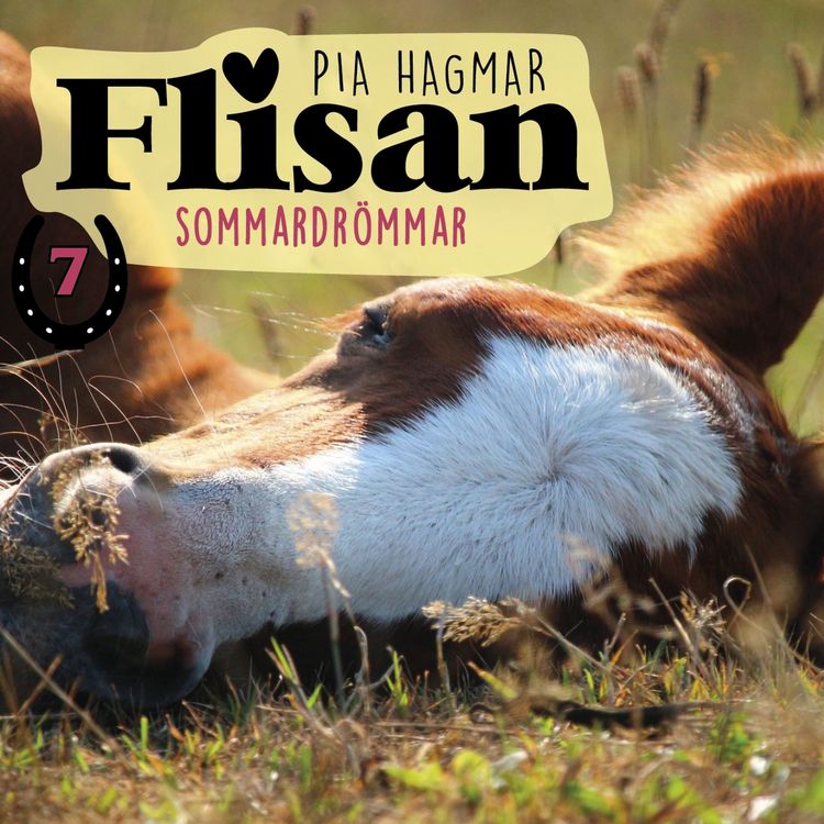 Produktbild: Sommardr&ouml;mmar