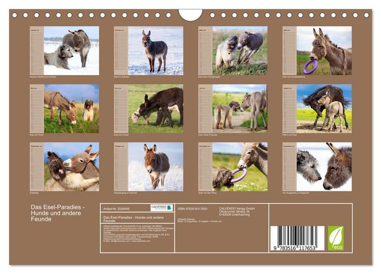 Produktbild: Das Esel-Paradies - Hunde und andere Feunde (Wandkalender 2026 DIN A4 quer), CALVENDO Monatskalender
