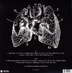 Produktbild: Lungs (Vinyl)