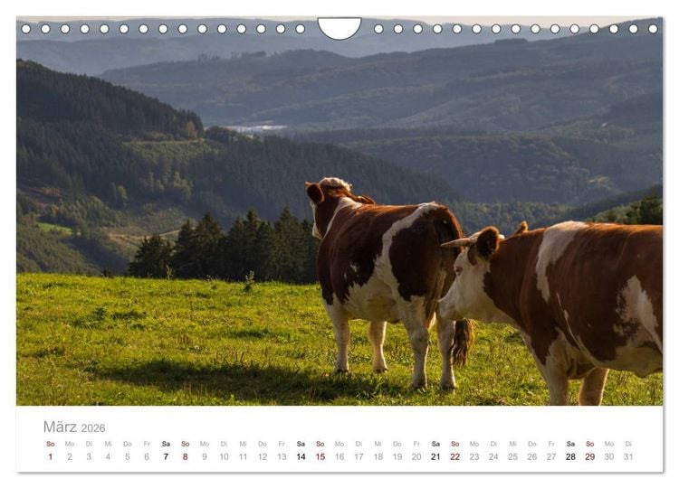 Produktbild: Sch&ouml;nes Sauerland (Wandkalender 2026 DIN A4 quer), CALVENDO Monatskalender