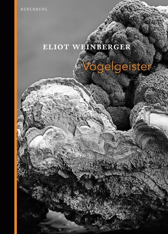 Produktbild: Vogelgeister