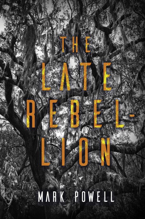 Produktbild: Late Rebellion