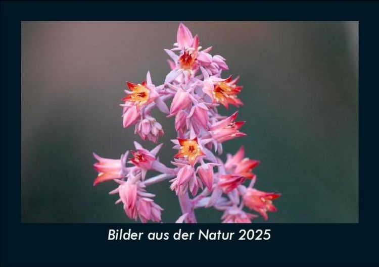 Produktbild: Bilder aus der Natur 2025 Fotokalender DIN A5