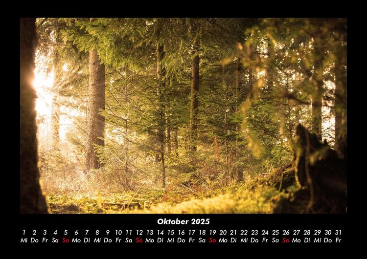 Produktbild: Waldzauber 2025 Fotokalender DIN A3