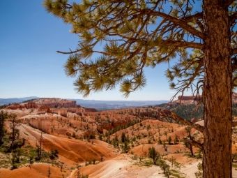 Produktbild: CALVENDO Puzzle BRYCE CANYON Blick &uuml;ber das Tal | 1000 Teile Lege-Gr&ouml;&szlig;e 64x48cm Foto-Puzzle f&uuml;r gl&uuml;ckliche Stunden