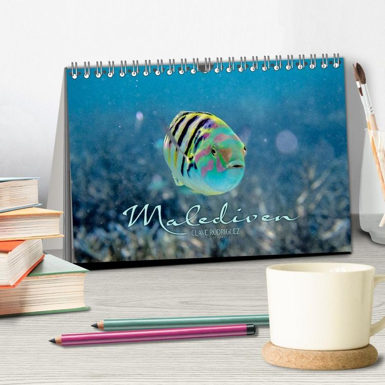 Produktbild: Unterwasserwelt der Malediven II (Tischkalender 2027 DIN A5 quer), CALVENDO Monatskalender