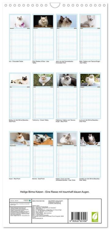 Produktbild: Familienplaner 2026 - Heilige Birma Katzen - Eine Rasse mit traumhaft blauen Augen. mit 5 Spalten (Wandkalender, 21 x 45 cm) CALVENDO