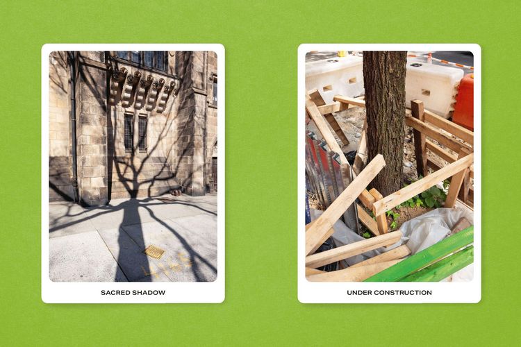 Produktbild: New York City Street Tree Tarot