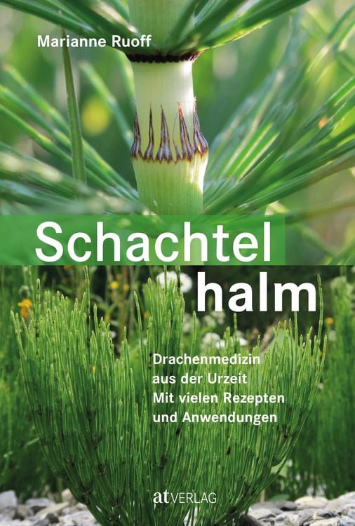 Produktbild: Schachtelhalm - eBook