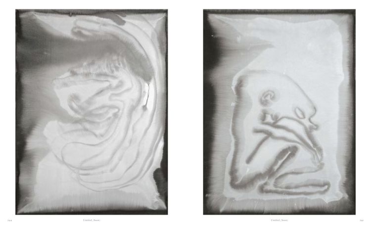 Produktbild: Camille Henrot