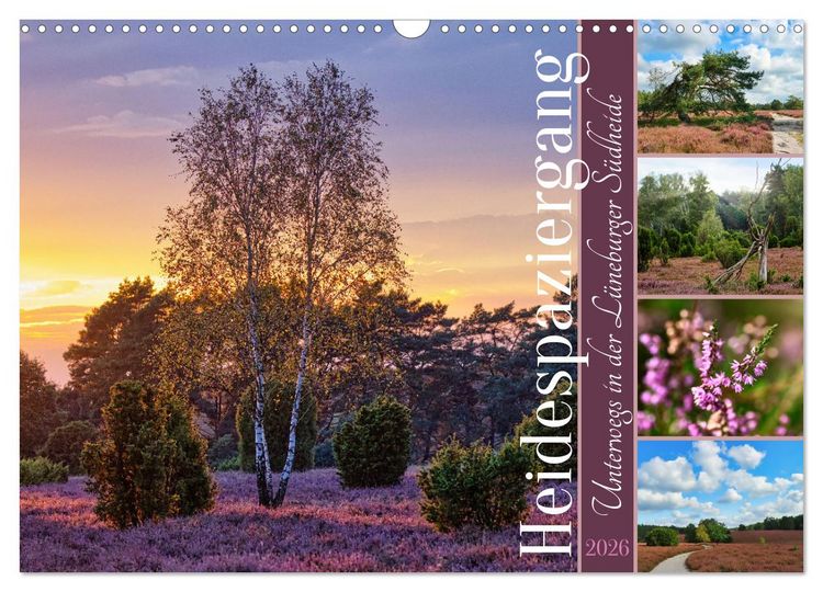 Produktbild: Heidespaziergang (Wandkalender 2026 DIN A3 quer), CALVENDO Monatskalender