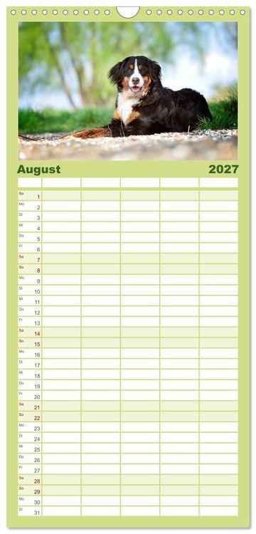 Produktbild: Familienplaner 2027 - Berner Sennenhunde mit 5 Spalten (Wandkalender, 21 x 45 cm) CALVENDO