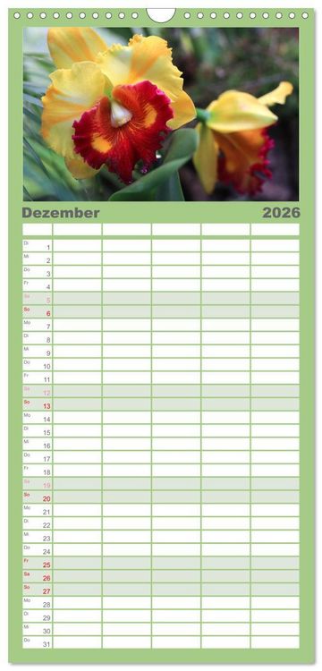 Produktbild: Familienplaner 2026 - Pr&auml;chtige Orchideen mit 5 Spalten (Wandkalender, 21 x 45 cm) CALVENDO