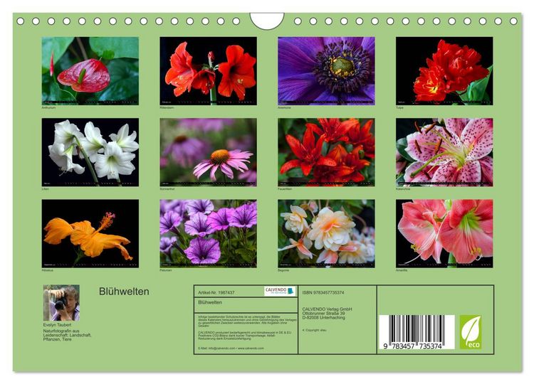 Produktbild: Bl&uuml;hwelten (Wandkalender 2026 DIN A4 quer), CALVENDO Monatskalender