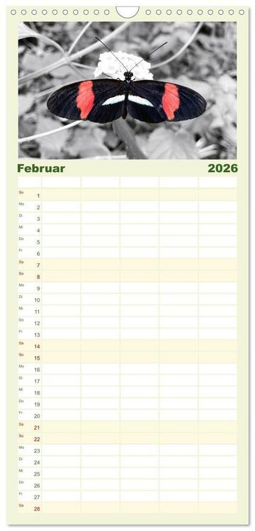 Produktbild: Familienplaner 2026 - Gefl&uuml;gelte Sch&ouml;nheiten der Tropen mit 5 Spalten (Wandkalender, 21 x 45 cm) CALVENDO