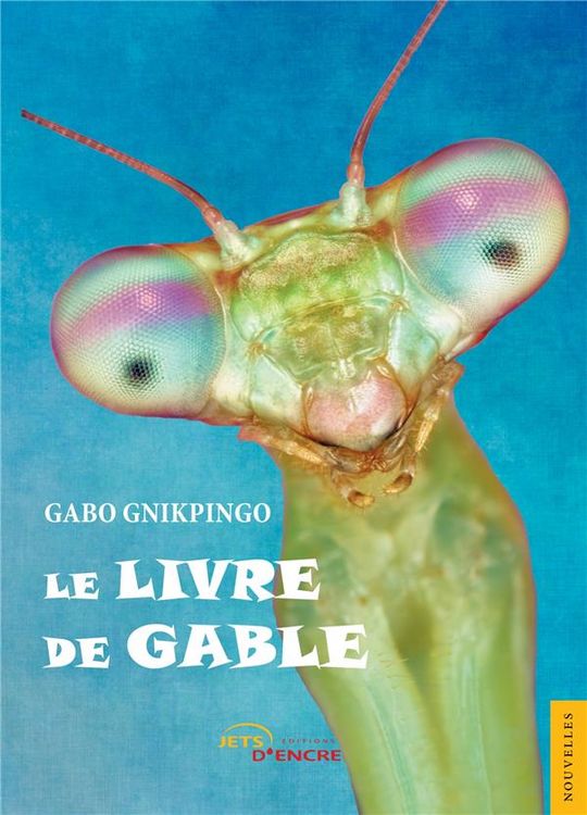 Produktbild: Le livre de gable