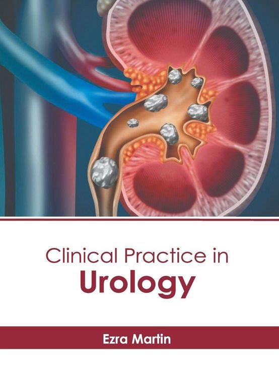 Produktbild: Clinical Practice in Urology