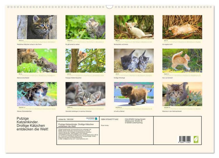 Produktbild: Putzige Katzenkinder. Drollige K&auml;tzchen entdecken die Welt! (Wandkalender 2026 DIN A2 quer), CALVENDO Monatskalender