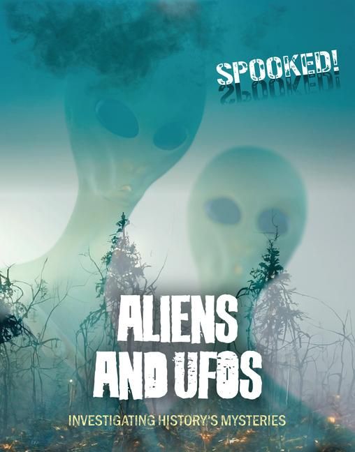 Produktbild: Aliens and UFOs