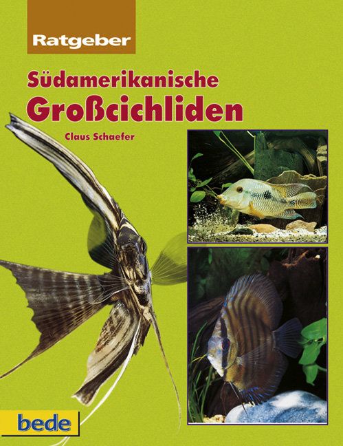 Produktbild: S&uuml;damerikanische Gro&szlig;cichliden