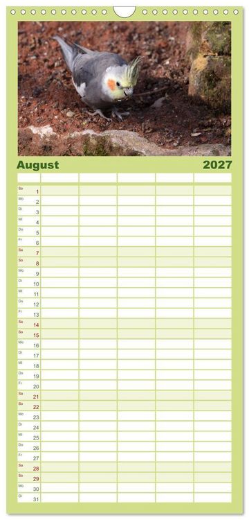 Produktbild: Familienplaner 2027 - Nymphensittiche mit 5 Spalten (Wandkalender, 21 x 45 cm) CALVENDO