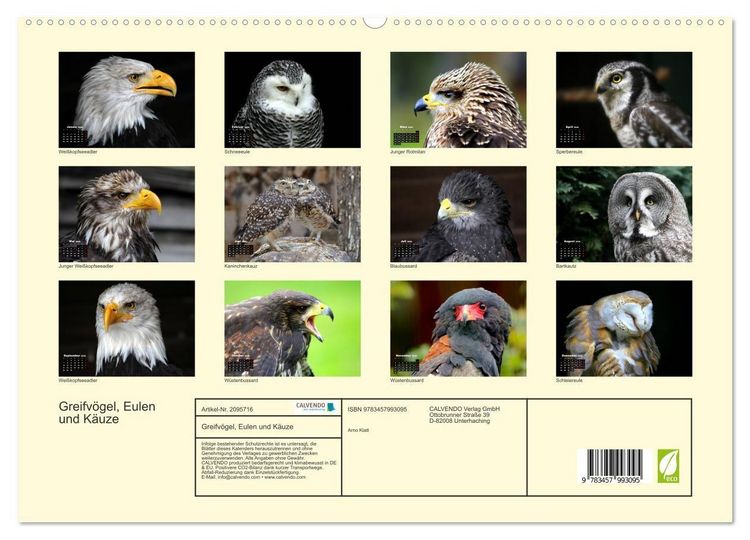 Produktbild: Greifv&ouml;gel, Eulen und K&auml;uze (hochwertiger Premium Wandkalender 2026 DIN A2 quer), Kunstdruck in Hochglanz