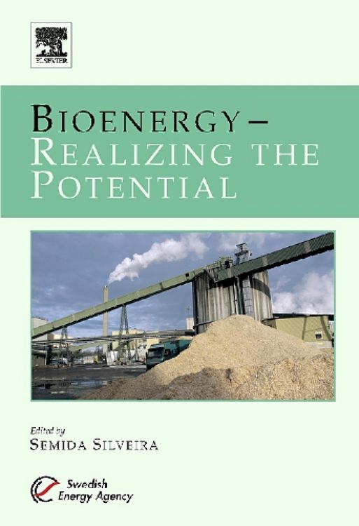 Produktbild: Bioenergy - Realizing the Potential