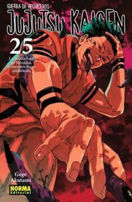 Produktbild: Jujutsu Kaisen 25