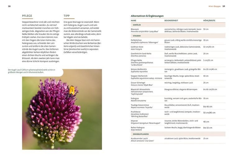 Produktbild: Mein Garten w&auml;chst im Topf