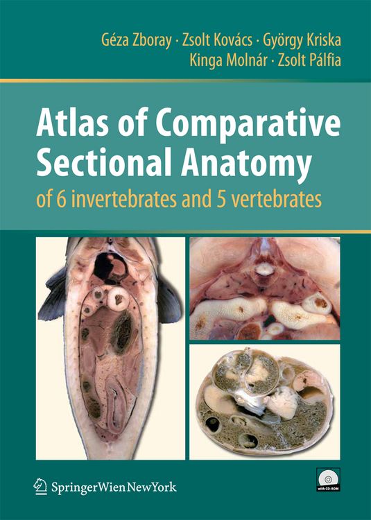 Produktbild: Atlas of Comparative Sectional Anatomy of 6 invertebrates and 5 vertebrates