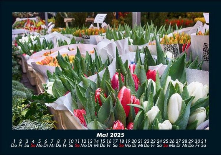 Produktbild: Blumenkalender 2025 Fotokalender DIN A5