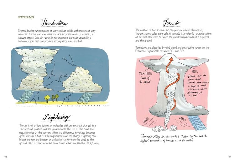 Produktbild: Nature Anatomy