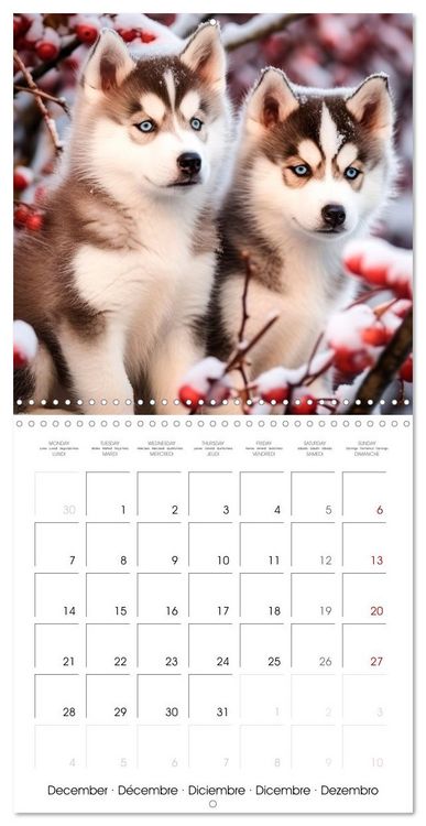 Produktbild: Cute PUPPY PERSONALITIES (Wall Calendar 2026 12 &times; 12 Inch) CALVENDO 12 Month Wall Calendar