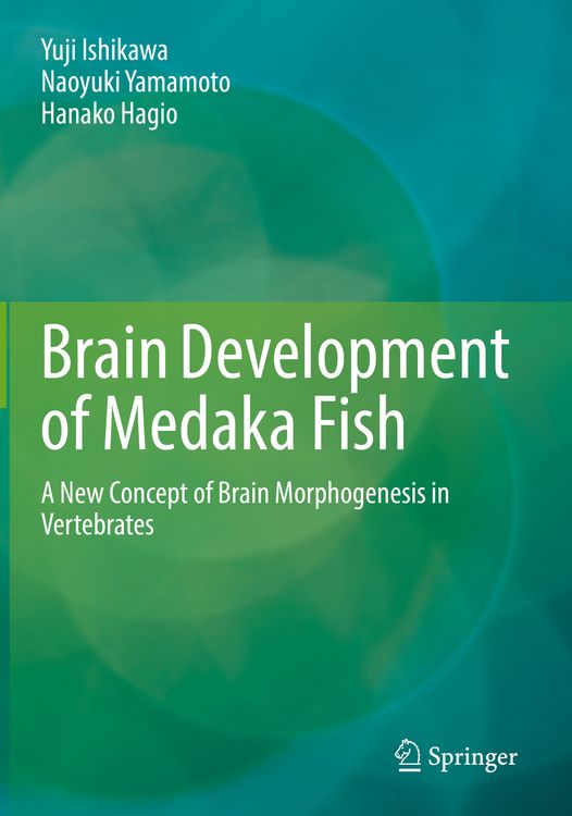 Produktbild: Brain Development of Medaka Fish