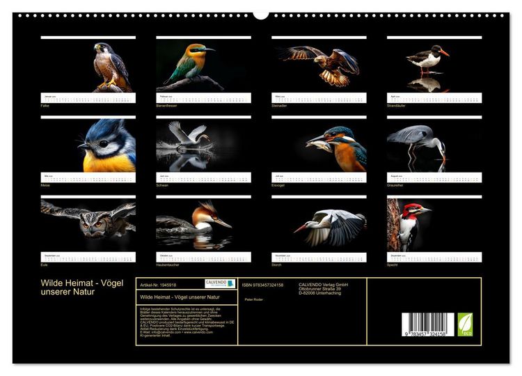 Produktbild: Wilde Heimat - V&ouml;gel unserer Natur (hochwertiger Premium Wandkalender 2026 DIN A2 quer), Kunstdruck in Hochglanz