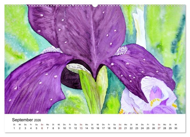 Produktbild: Blumen-Aquarelle (hochwertiger Premium Wandkalender 2026 DIN A2 quer), Kunstdruck in Hochglanz