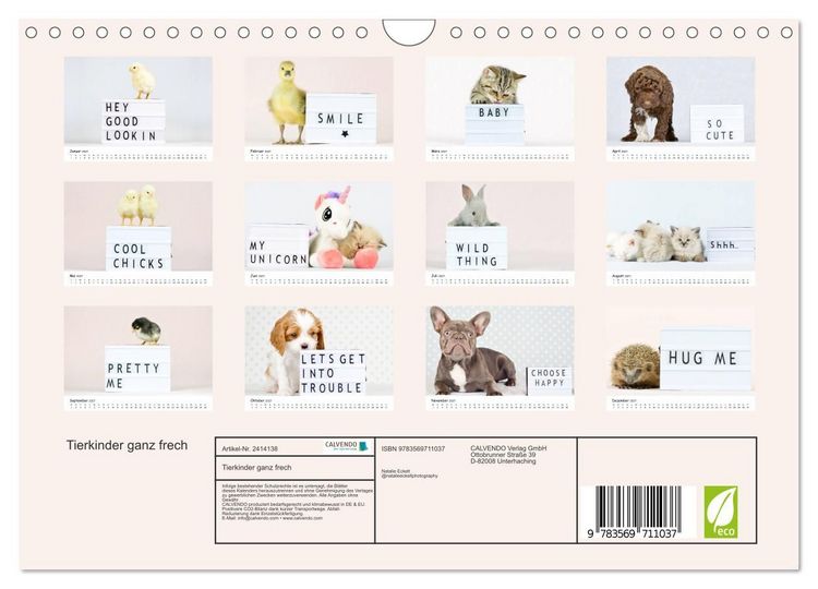 Produktbild: Tierkinder ganz frech (Wandkalender 2027 DIN A4 quer), CALVENDO Monatskalender