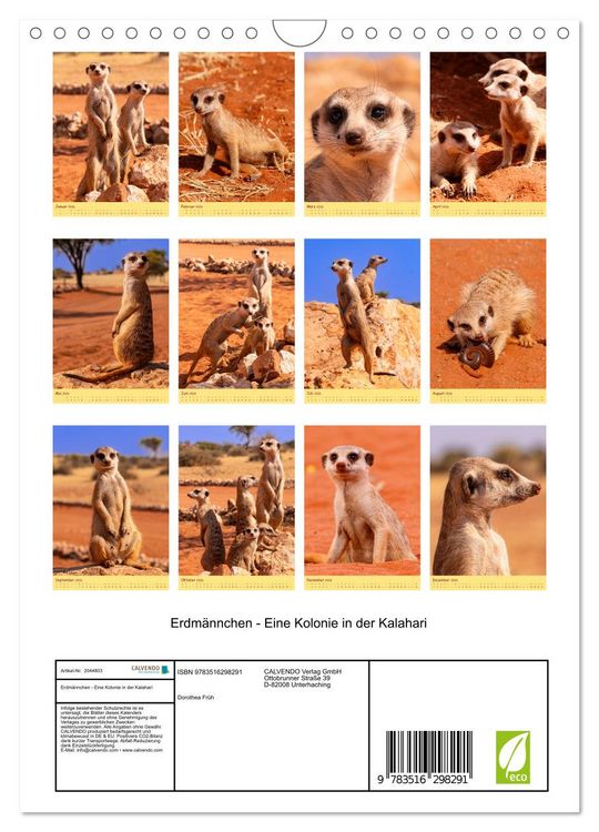 Produktbild: Erdm&auml;nnchen - Eine Kolonie in der Kalahari (Wandkalender 2026 DIN A4 hoch), CALVENDO Monatskalender