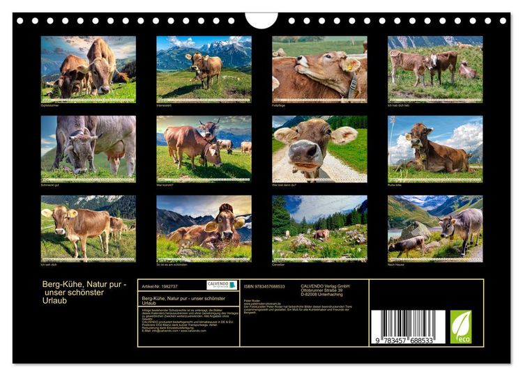 Produktbild: Berg-K&uuml;he, Natur pur - unser sch&ouml;nster Urlaub (Wandkalender 2026 DIN A4 quer), CALVENDO Monatskalender