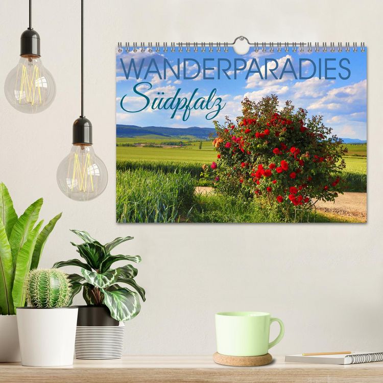 Produktbild: Wanderparadies S&uuml;dpfalz (Wandkalender 2026 DIN A4 quer), CALVENDO Monatskalender