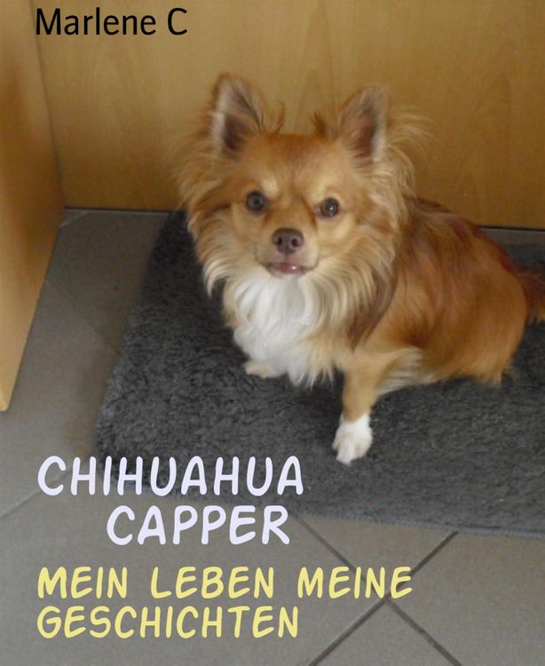 Produktbild: Chihuahua CAPPER